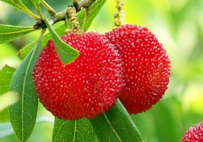 ������÷