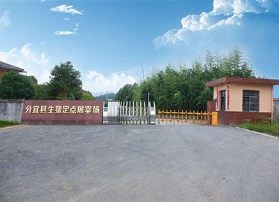 �����������������׳�